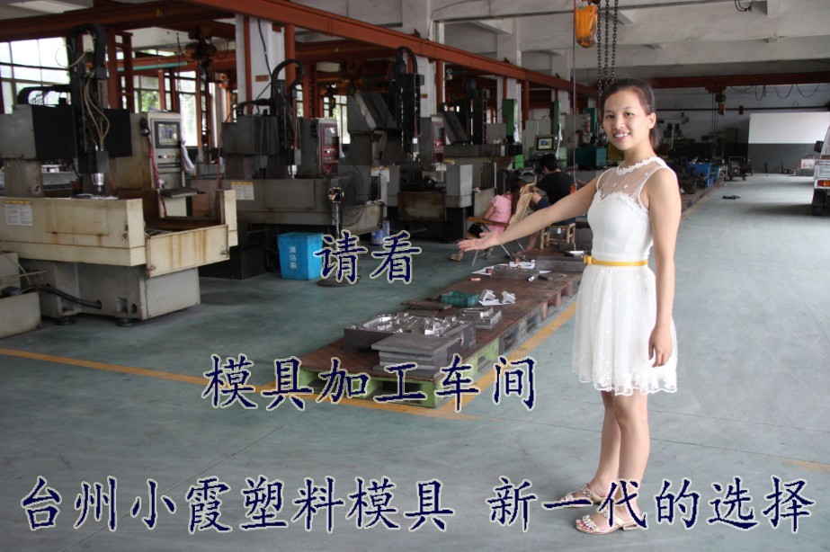 浙江小霞模具車(chē)間 (59)